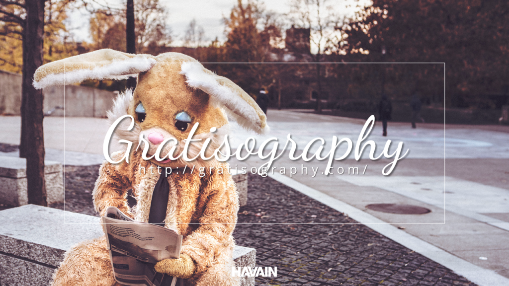 Gratisography - Free stock photo site