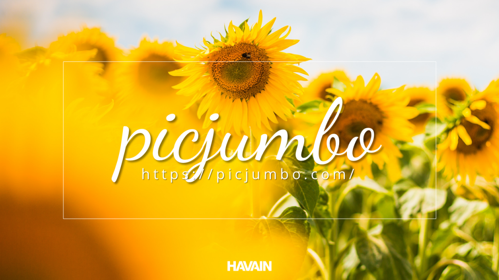 picjumbo - Free stock photo site